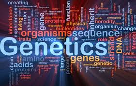 Functional Epigenetics